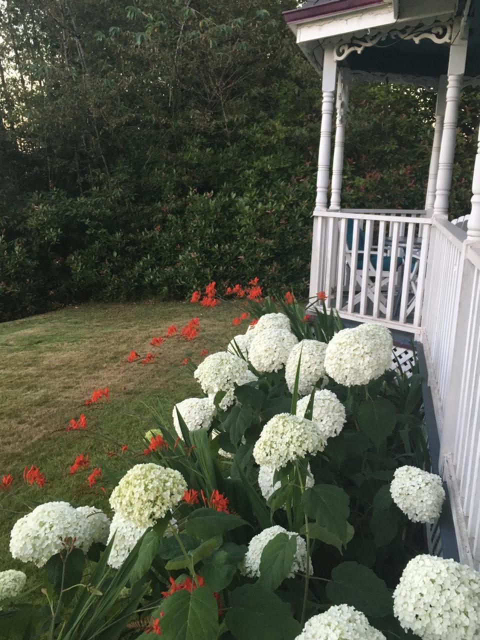 Tayberry Cottage Puyallup Dış mekan fotoğraf